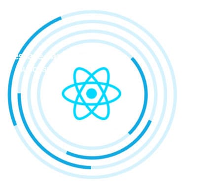 REACT JS DEVELOPER