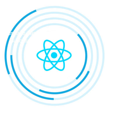 REACT JS DEVELOPER