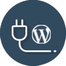 WordPress Plugin